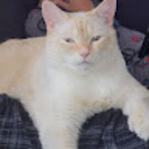 Meet your Posher, Drew